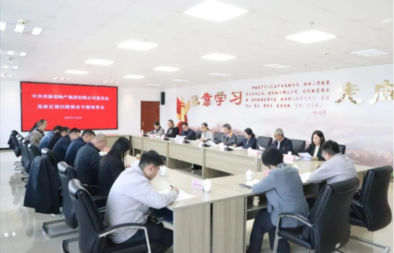 集團(tuán)黨委召開(kāi)巡察反饋問(wèn)題整改專(zhuān)題部署會(huì)