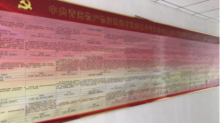 物產(chǎn)配送公司黨委“黨的建設(shè)重點(diǎn)強(qiáng)化年”活動(dòng)2018年工作任務(wù)、組織保障具體化